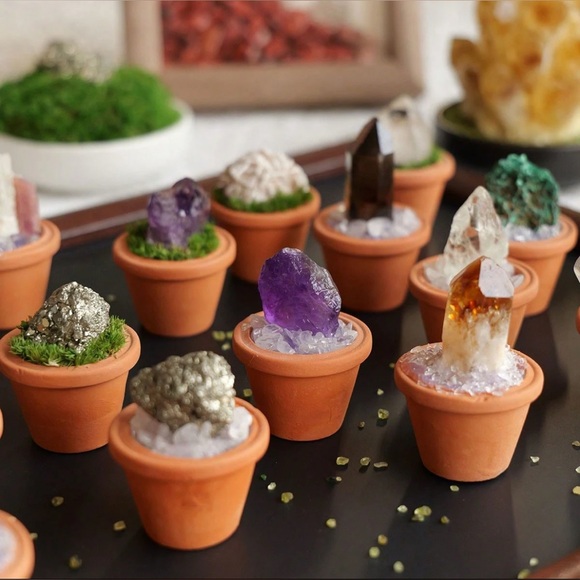 Other - Smokey Quartz Crystal in MINI Terracotta Pot